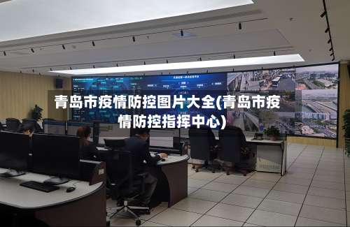 青岛市疫情防控图片大全(青岛市疫情防控指挥中心)