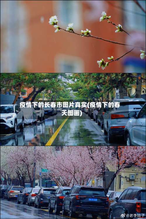 疫情下的长春市图片真实(疫情下的春天图画)