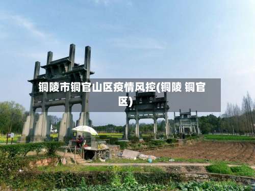 铜陵市铜官山区疫情风控(铜陵 铜官区)