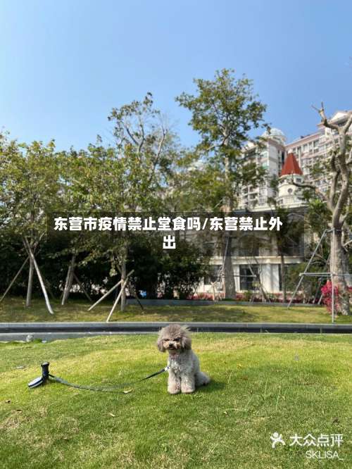 东营市疫情禁止堂食吗/东营禁止外出