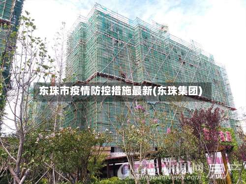 东珠市疫情防控措施最新(东珠集团)