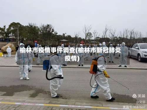 榆林市疫情事件调查(榆林市新冠肺炎疫情)-第3张图片