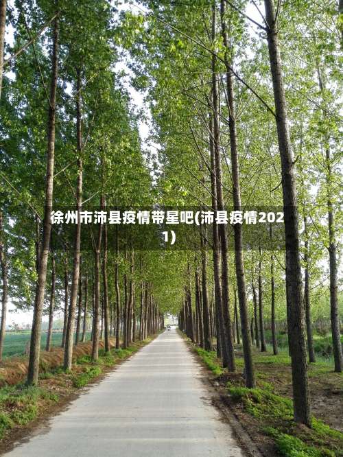 徐州市沛县疫情带星吧(沛县疫情2021)-第2张图片