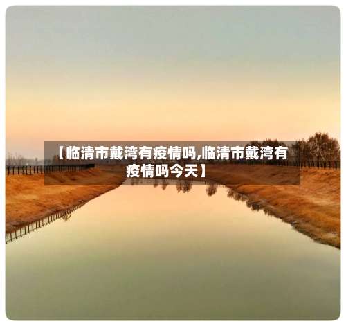 【临清市戴湾有疫情吗,临清市戴湾有疫情吗今天】
