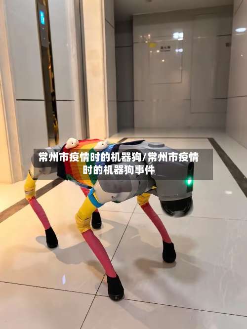 常州市疫情时的机器狗/常州市疫情时的机器狗事件