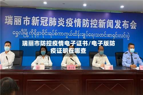 瑞丽市防控疫情电子证书/电子版防疫证明在哪查-第2张图片