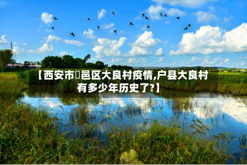 【西安市鄠邑区大良村疫情,户县大良村有多少年历史了?】