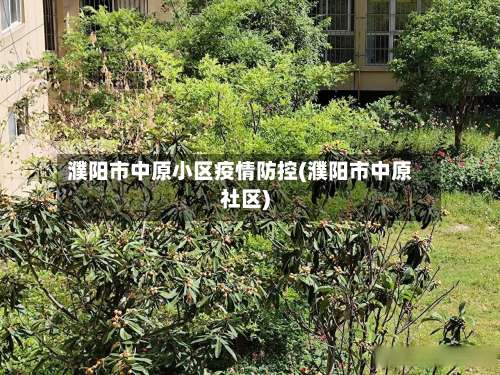 濮阳市中原小区疫情防控(濮阳市中原社区)