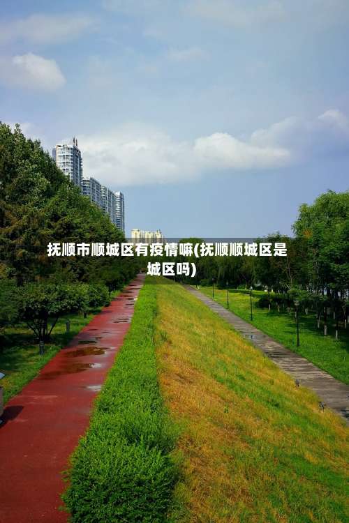 抚顺市顺城区有疫情嘛(抚顺顺城区是城区吗)