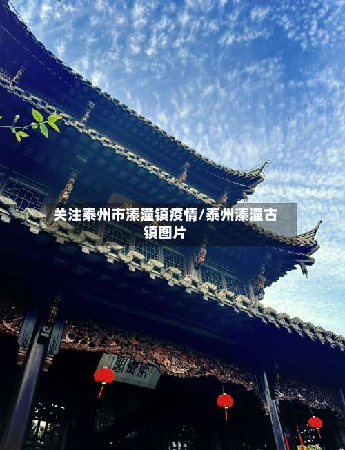 关注泰州市溱潼镇疫情/泰州溱潼古镇图片