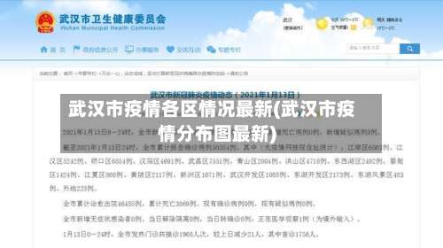 武汉市疫情各区情况最新(武汉市疫情分布图最新)