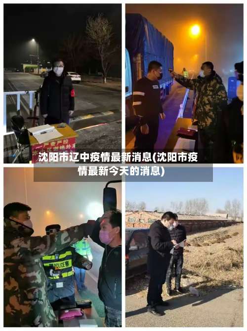 沈阳市辽中疫情最新消息(沈阳市疫情最新今天的消息)