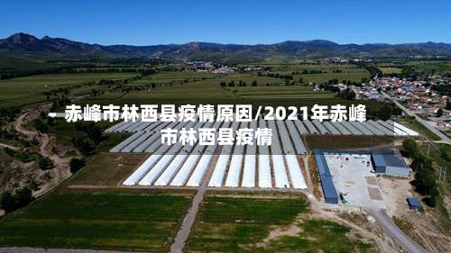 赤峰市林西县疫情原因/2021年赤峰市林西县疫情