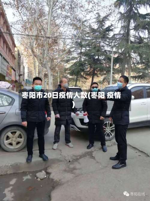枣阳市20日疫情人数(枣阳 疫情)