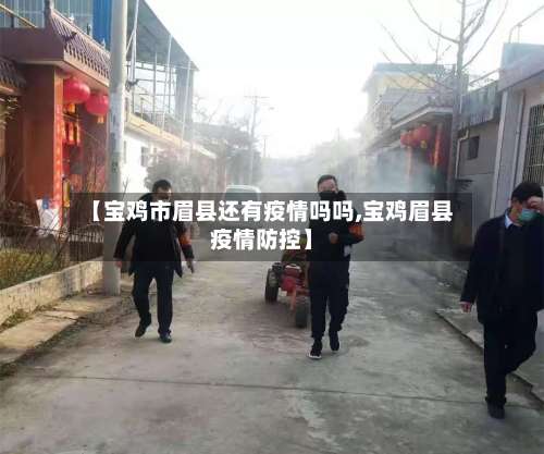 【宝鸡市眉县还有疫情吗吗,宝鸡眉县疫情防控】