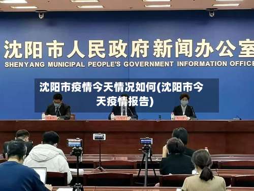 沈阳市疫情今天情况如何(沈阳市今天疫情报告)-第3张图片