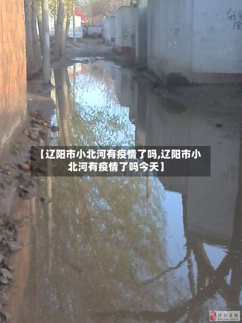 【辽阳市小北河有疫情了吗,辽阳市小北河有疫情了吗今天】
