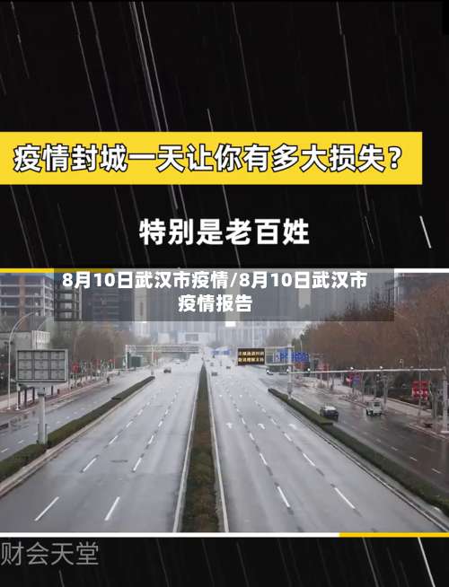 8月10日武汉市疫情/8月10日武汉市疫情报告