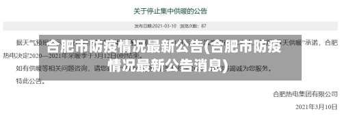 合肥市防疫情况最新公告(合肥市防疫情况最新公告消息)