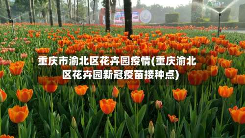 重庆市渝北区花卉园疫情(重庆渝北区花卉园新冠疫苗接种点)-第2张图片