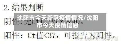 沈阳市今天新冠疫情情况/沈阳市今天疫情信息-第3张图片