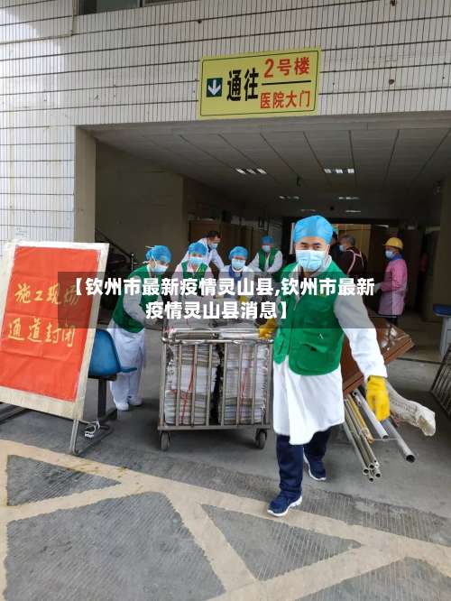 【钦州市最新疫情灵山县,钦州市最新疫情灵山县消息】