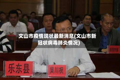 文山市疫情现状最新消息(文山市新冠状病毒肺炎情况)-第2张图片