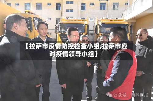 【拉萨市疫情防控检查小组,拉萨市应对疫情领导小组】