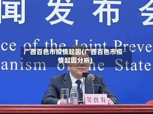 广西百色市疫情起因(广西百色市疫情起因分析)