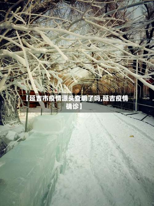 【延吉市疫情源头查明了吗,延吉疫情确诊】
