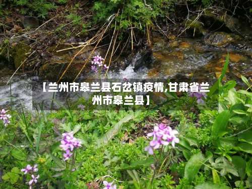 【兰州市皋兰县石岔镇疫情,甘肃省兰州市皋兰县】