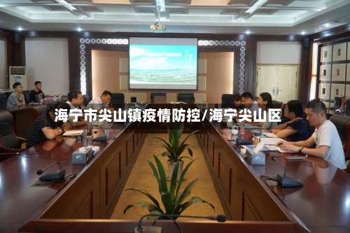 海宁市尖山镇疫情防控/海宁尖山区