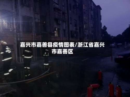 嘉兴市嘉善县疫情图表/浙江省嘉兴市嘉善区-第2张图片