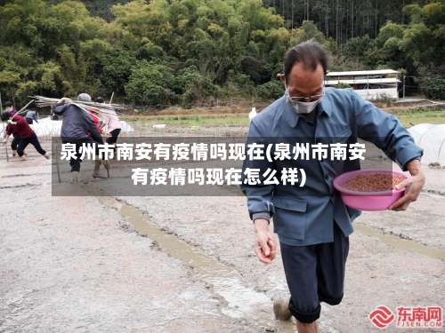 泉州市南安有疫情吗现在(泉州市南安有疫情吗现在怎么样)-第2张图片