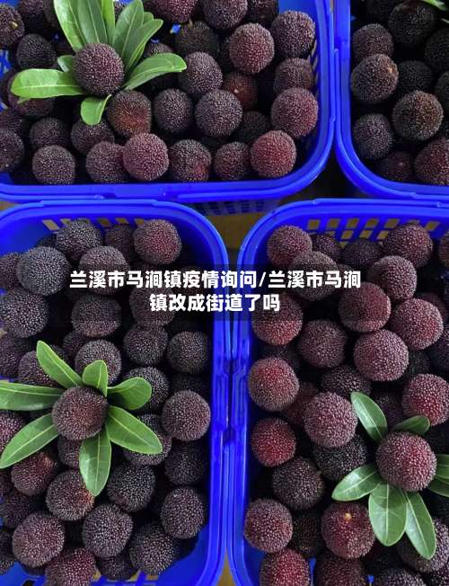 兰溪市马涧镇疫情询问/兰溪市马涧镇改成街道了吗