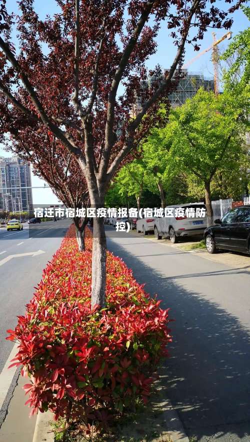 宿迁市宿城区疫情报备(宿城区疫情防控)