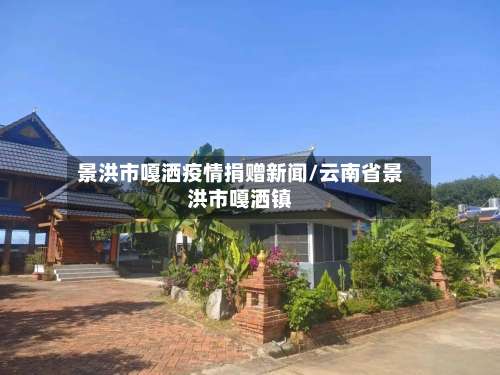 景洪市嘎洒疫情捐赠新闻/云南省景洪市嘎洒镇