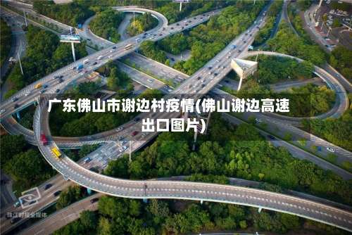 广东佛山市谢边村疫情(佛山谢边高速出口图片)