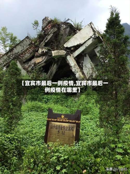 【宜宾市最后一例疫情,宜宾市最后一例疫情在哪里】-第2张图片