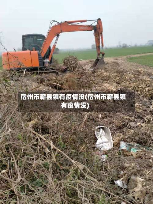 宿州市蕲县镇有疫情没(宿州市蕲县镇有疫情没)