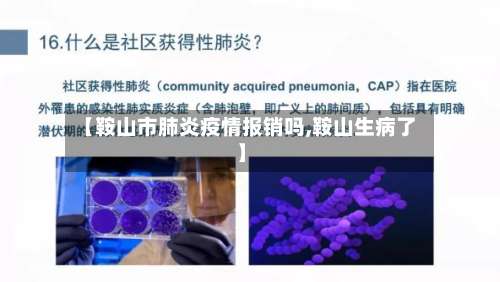 【鞍山市肺炎疫情报销吗,鞍山生病了】-第3张图片