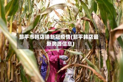邹平市韩店镇新冠疫情(邹平韩店最新房源信息)