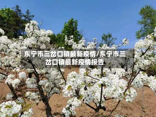 东宁市三岔口镇最新疫情/东宁市三岔口镇最新疫情报告