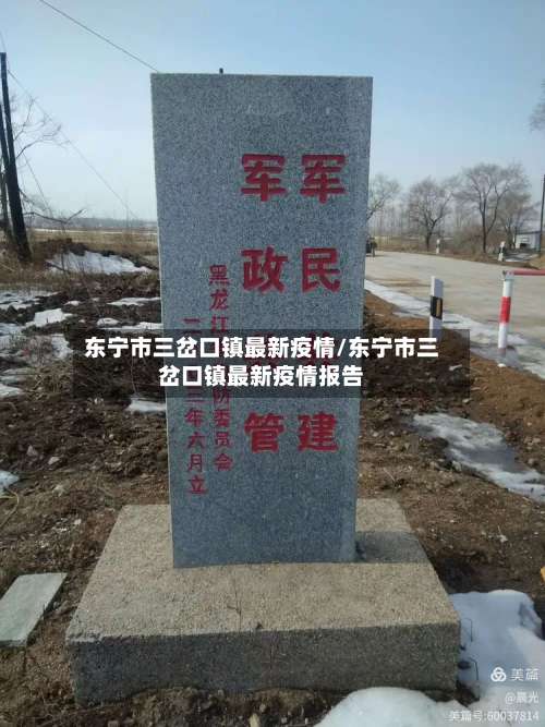 东宁市三岔口镇最新疫情/东宁市三岔口镇最新疫情报告-第2张图片