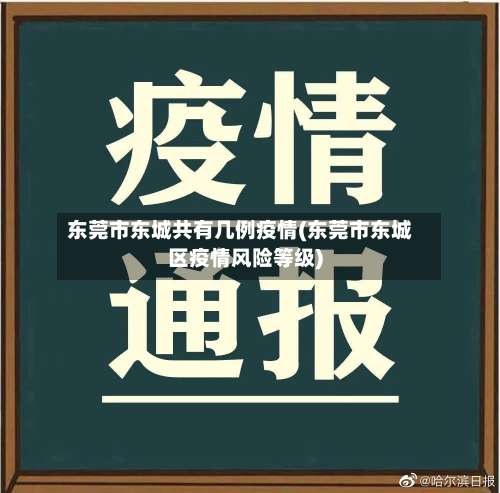 东莞市东城共有几例疫情(东莞市东城区疫情风险等级)