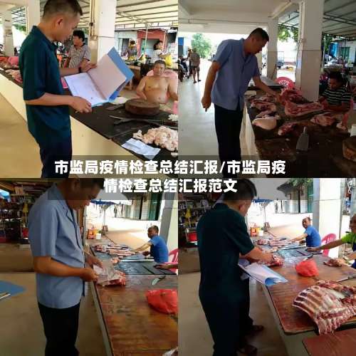 市监局疫情检查总结汇报/市监局疫情检查总结汇报范文-第3张图片