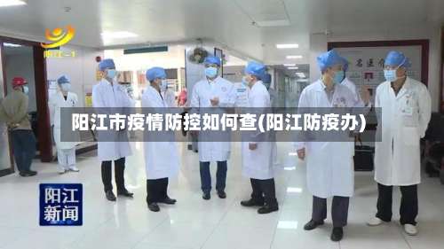 阳江市疫情防控如何查(阳江防疫办)