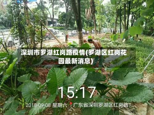 深圳市罗湖红岗路疫情(罗湖区红岗花园最新消息)-第2张图片