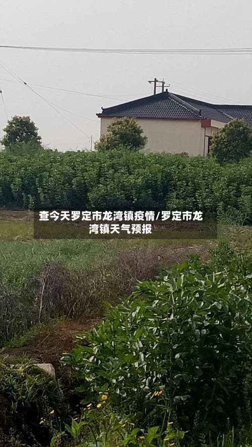 查今天罗定市龙湾镇疫情/罗定市龙湾镇天气预报-第3张图片