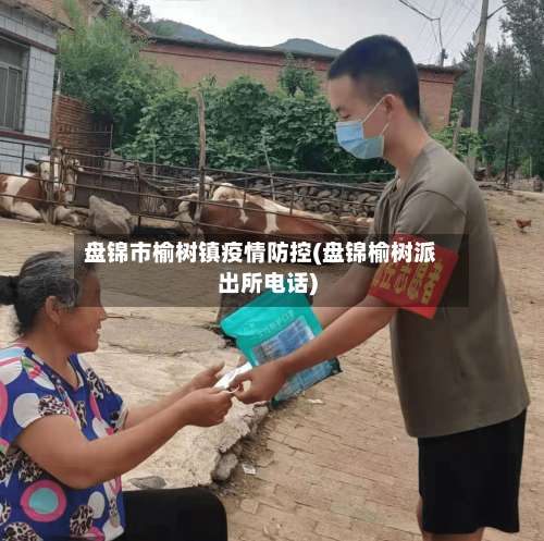 盘锦市榆树镇疫情防控(盘锦榆树派出所电话)